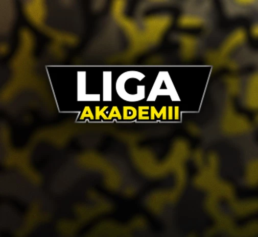 Турнір CS2 Liga Akademii S0 Playoffs