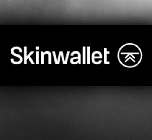Турнір CS2 Skinwallet Cup #3
